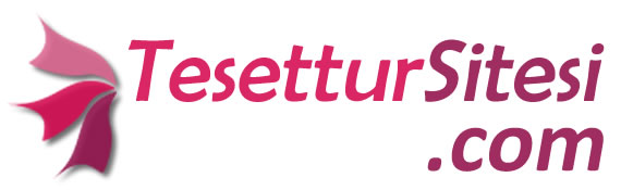 TesetturSitesi.com logosu